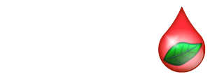 آزمایشگاه قدس